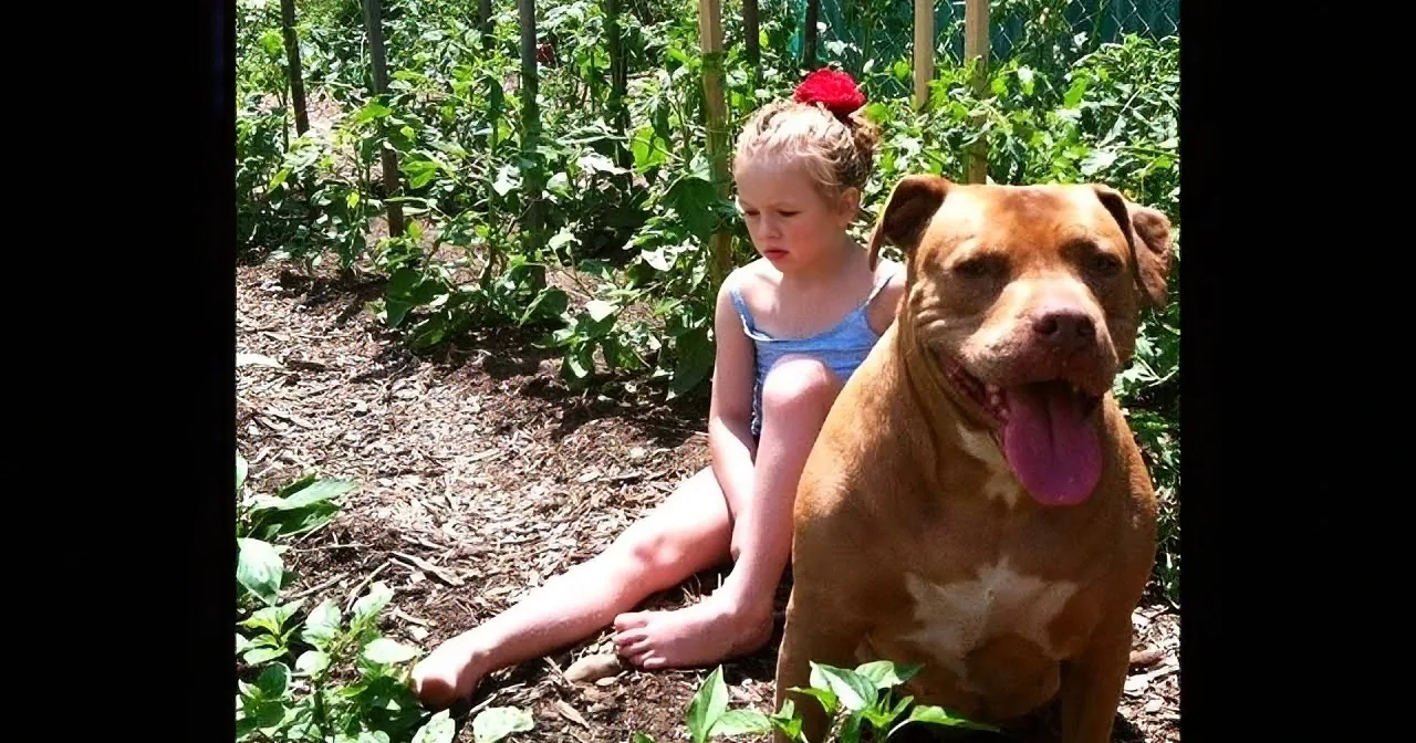 A girl sits in a garden with a brown dog, both appearing relaxed and happy.