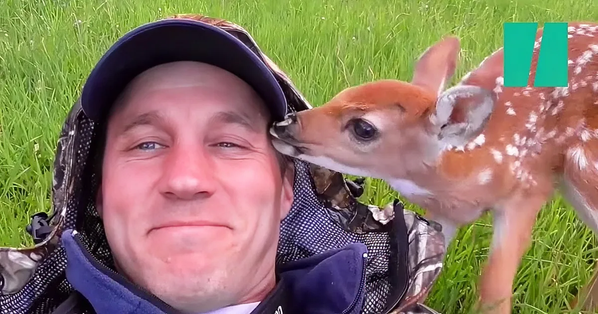 A man in a camouflage jacket and hat is holding a fawn in a grassy field.