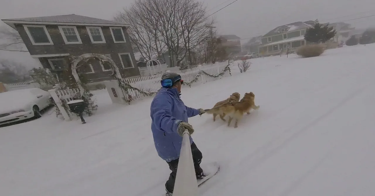 A person in a blue jacket snowboards through a snowy neighborhood with two dogs.