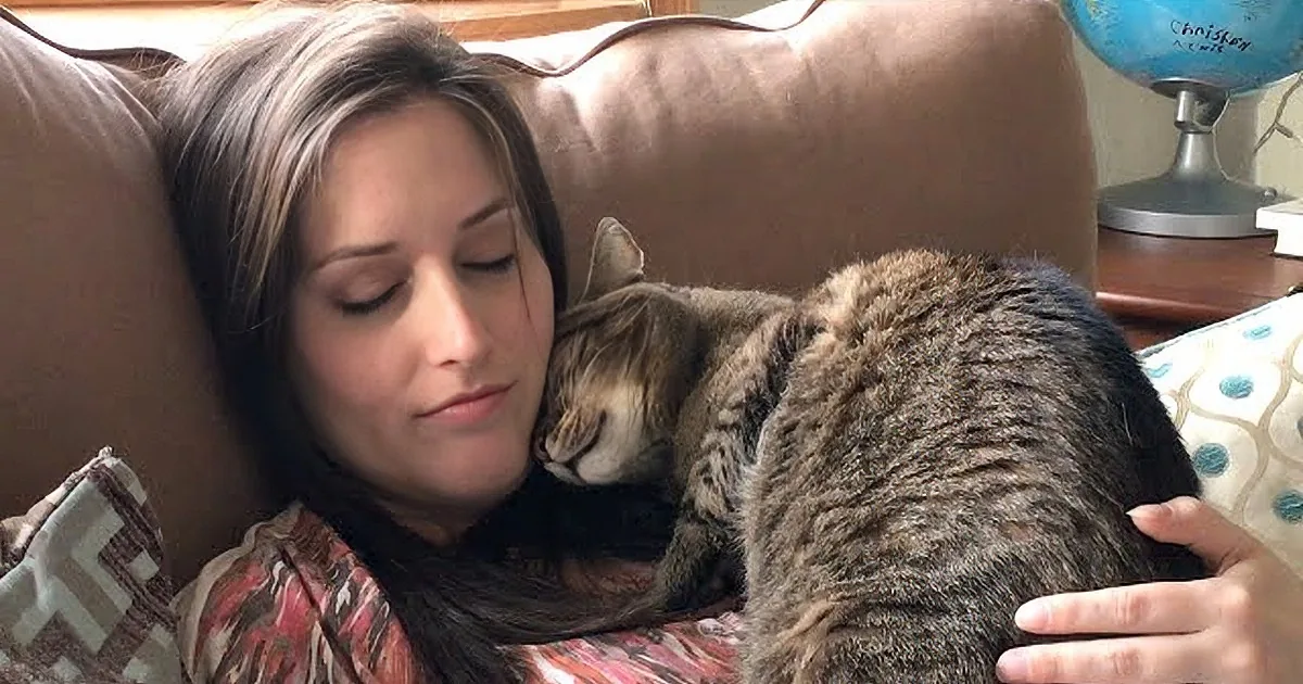 Cat Senses Baby Coming From His Pregnant Mommy. His Reaction? Precious!
