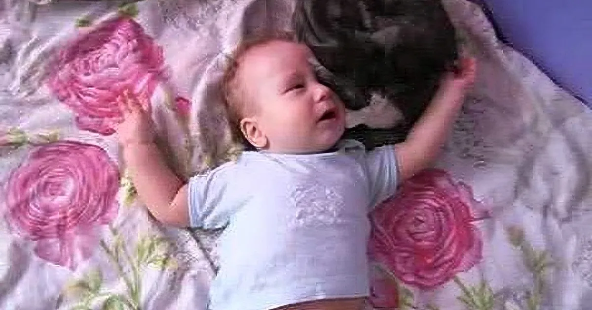 Caring Cat Offers Snuggles and Meows Softly to Comfort Wailing Baby