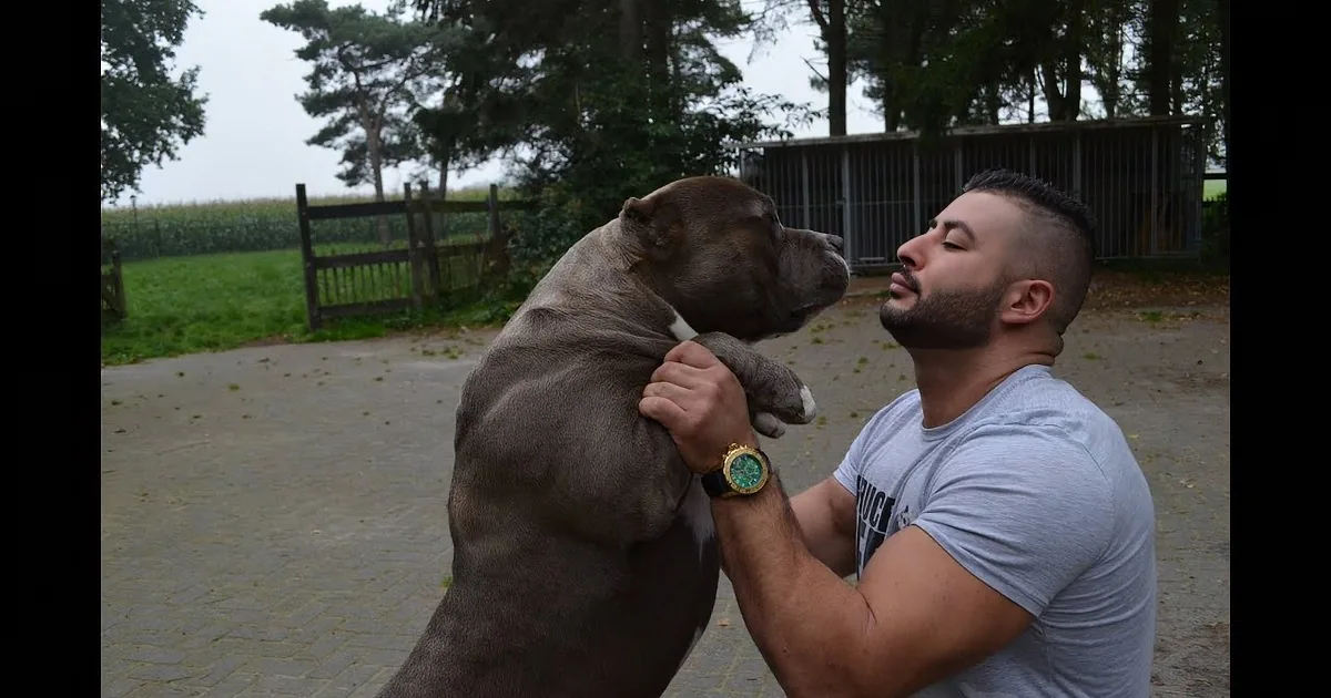 Man Walks Outside to Play With His Pit Bulls. the Sheer Volume of Them Stunned Me.