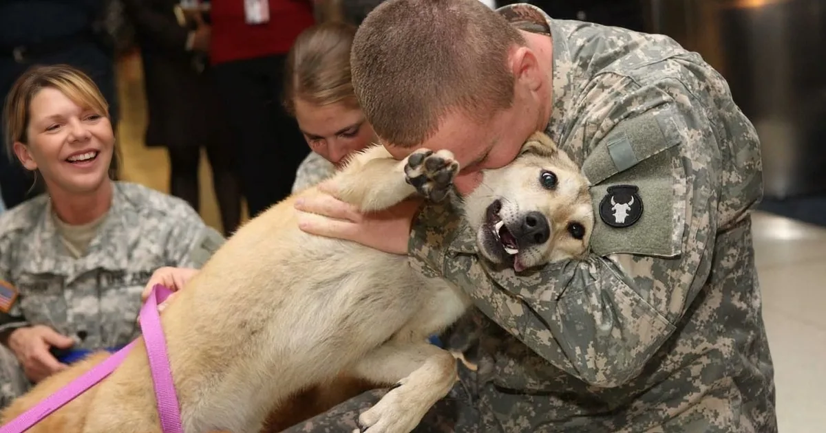 A soldier in uniform kisses a happy dog with a pink leash, surrounded by other people in military attire.