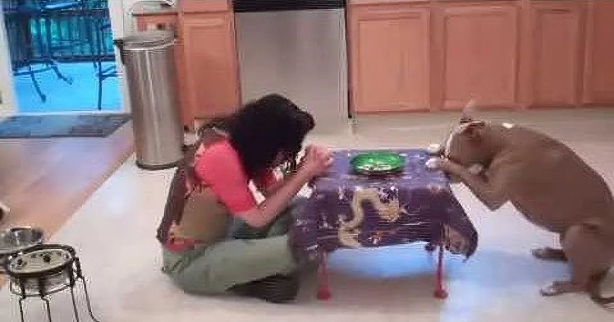 A woman in a red shirt and green apron kneels on the floor, feeding a dog at a table covered with a purple cloth.