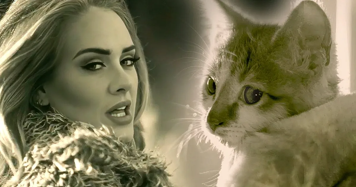 Three Kittens Star in Adele Song Parody. I Think It Exceeded the Daily Cuteness Allotment.