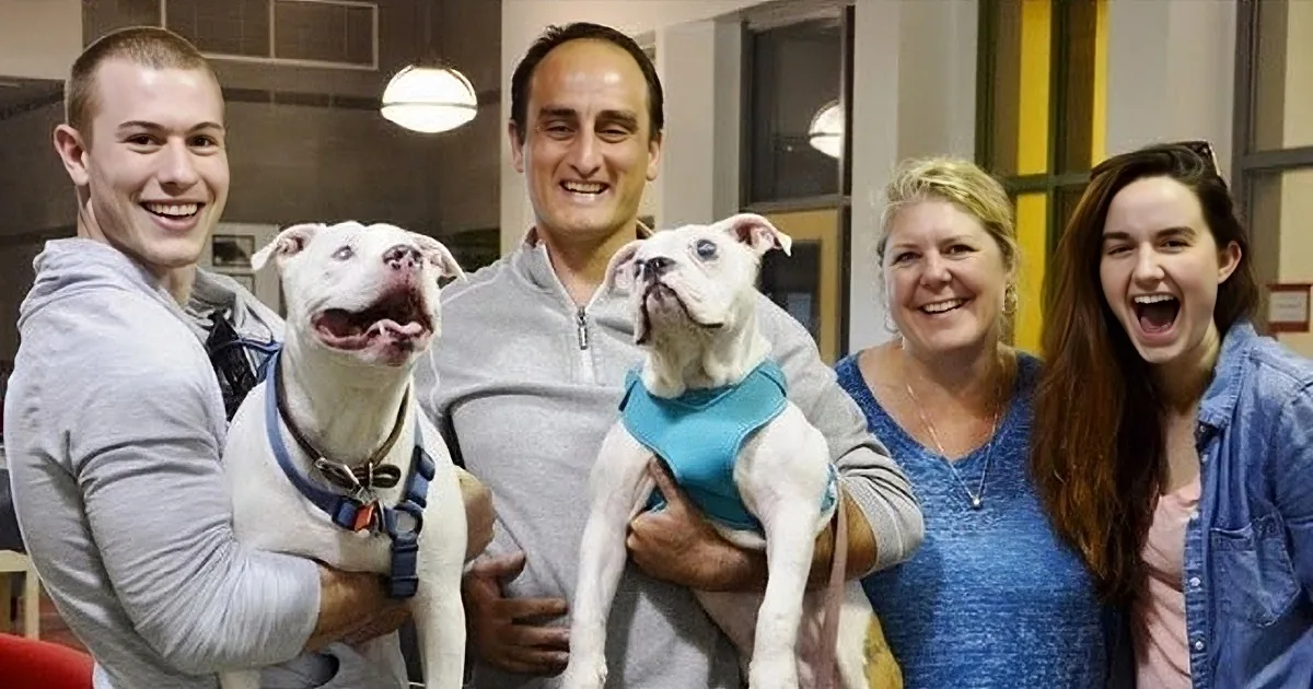 Wisconsin Couple See Potential Companion for Blind Dog. What They Do to Get Him? Amazing.