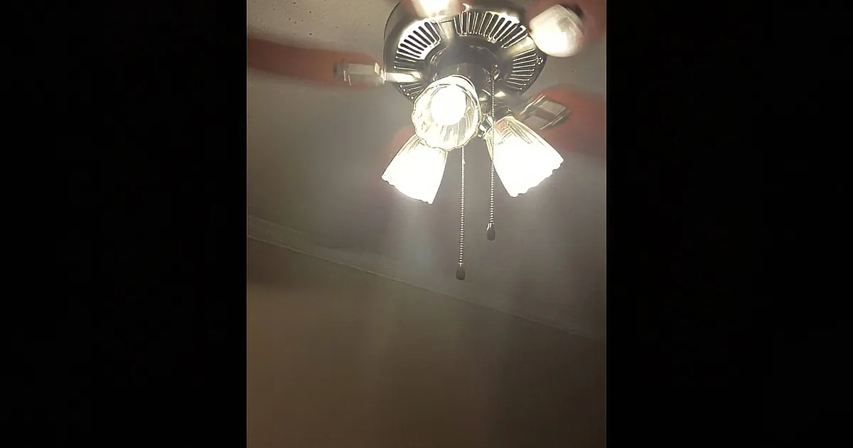 A ceiling fan with three lights and a pull chain hangs from a ceiling.
