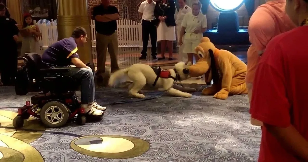 A man in a wheelchair interacts with a dog in a harness, accompanied by a Pluto mascot, as onlookers watch.