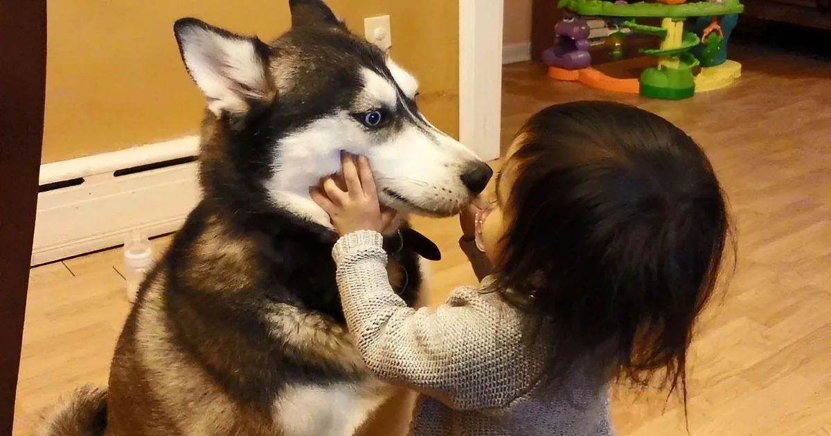Toddler Girl Is Smitten With Her Dog and Wants to Give Him a Hug. I Loved His Sweet Reaction.