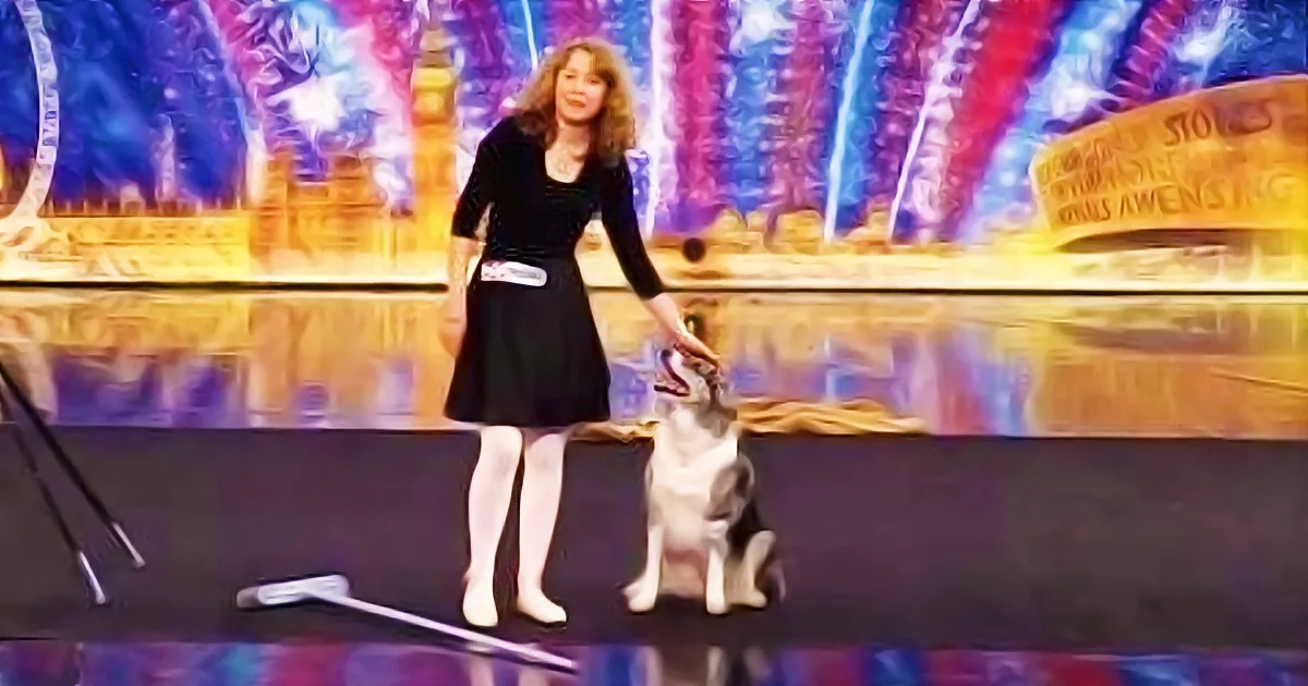 Britain''s Got Talent Dancing Dog Sensation, Watch Him Groove and Move That Body!