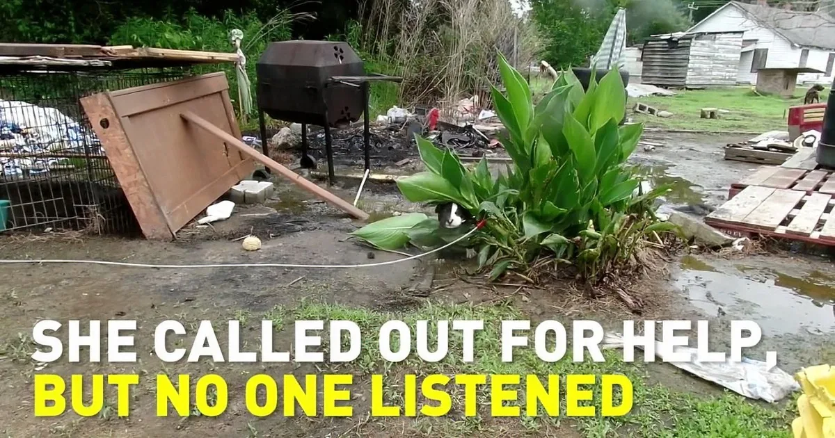 A dog hides behind a plant amidst debris and a grill in a neglected yard.