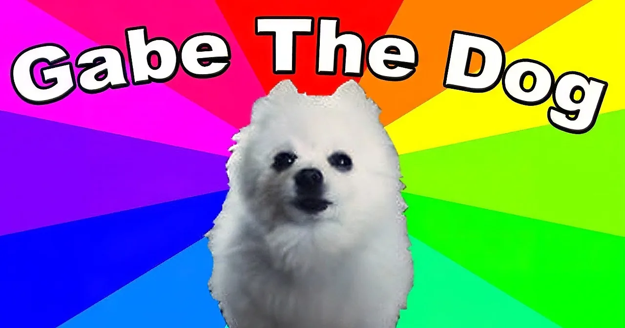 A fluffy white dog named Gabe stands against a vibrant rainbow-striped background.