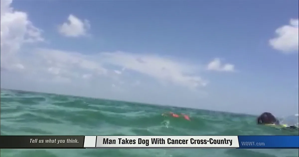 A man and a dog swim in the ocean, with the man holding a red object.