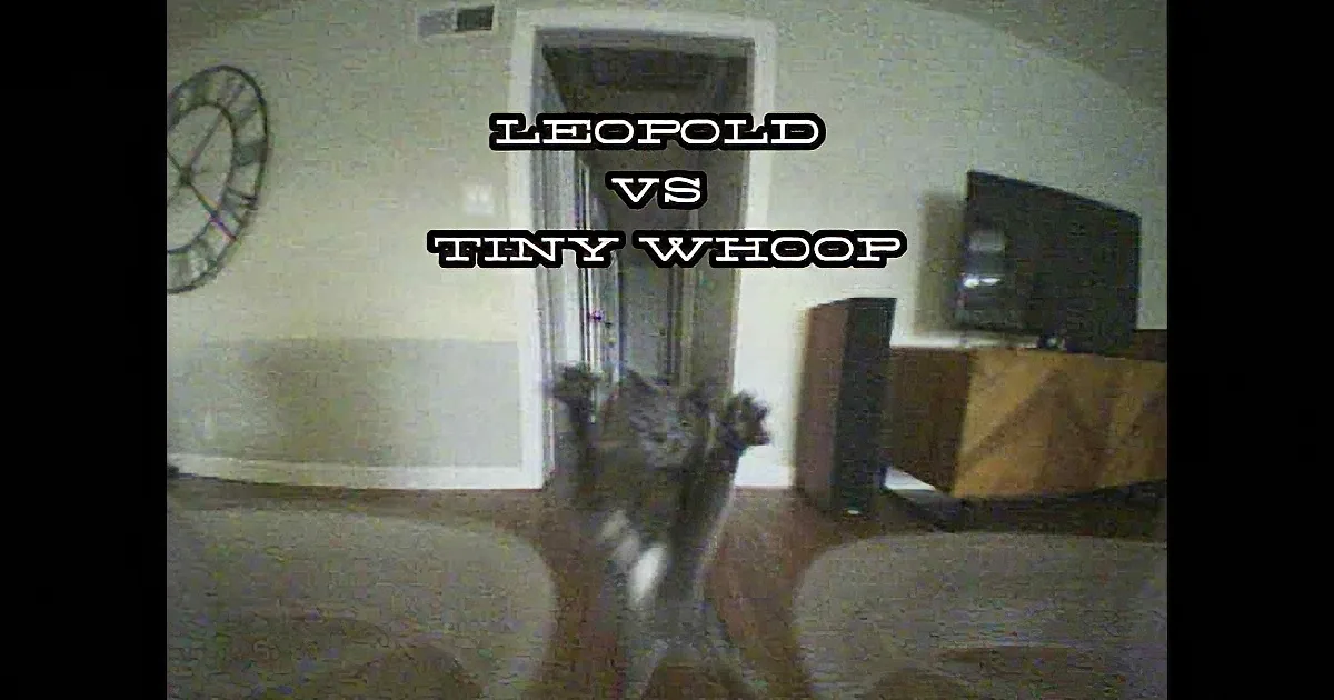 Cat vs. Toy Drone, Who Wins the Battle?