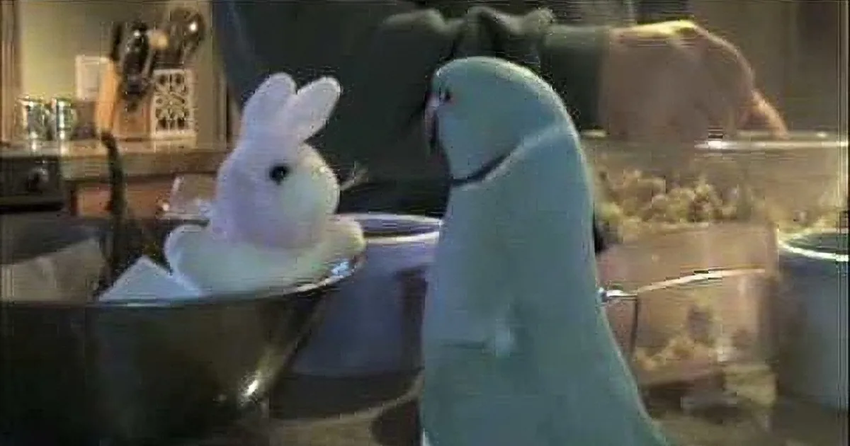 A parrot interacts with a white plush bunny in a kitchen setting.