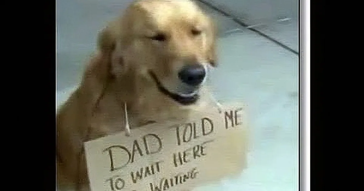 A golden retriever holds a sign saying "Dad told me to wait for me to come home."