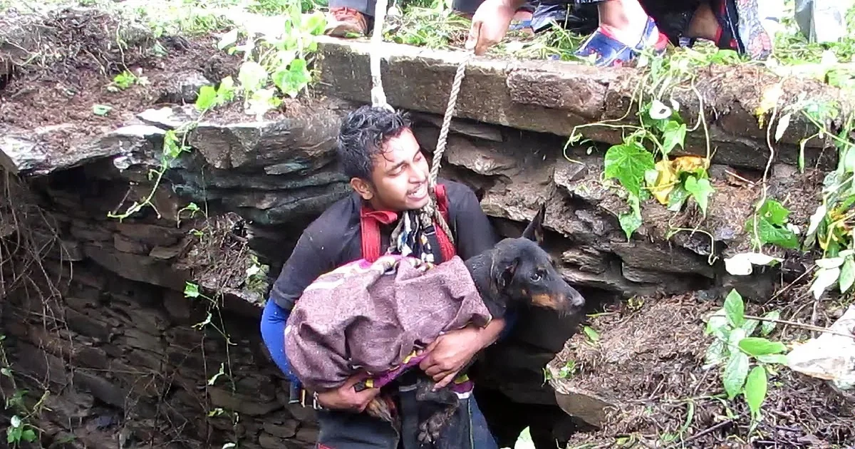 Dog Is Overwhelmed With Gratitude, the Sight of the Rescue Is Truly Priceless!