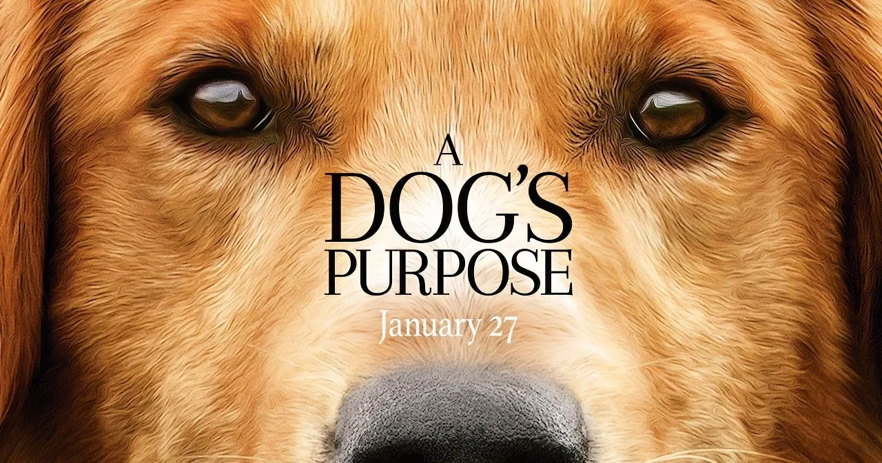 A close-up of a golden retriever's face with the text "A Dog's Purpose" and release date.