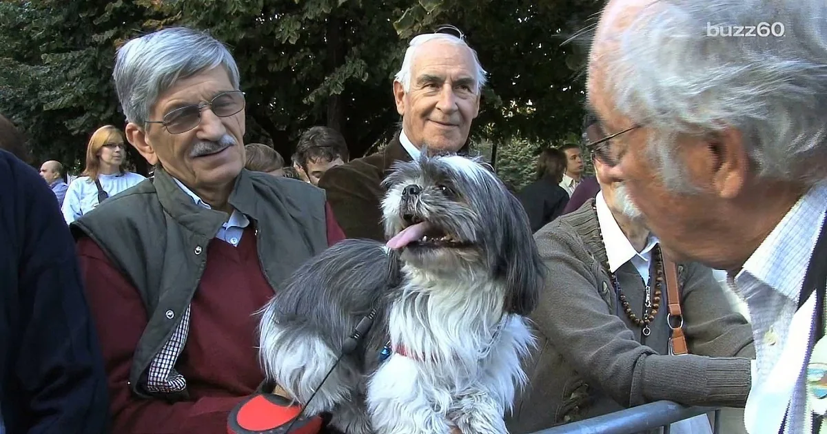 Three older men with a small dog, one holding a red object, in a park setting.