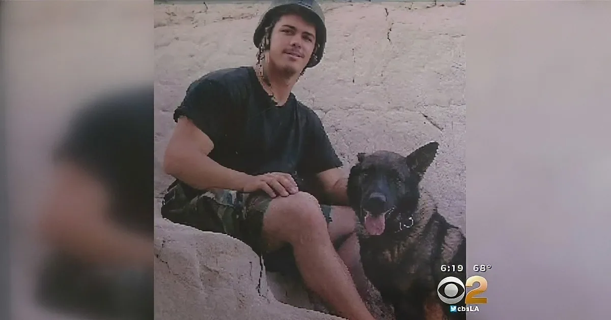 Dog Taken in, the Story of Who Takes Him Is Heartwarming as Heartbreaking