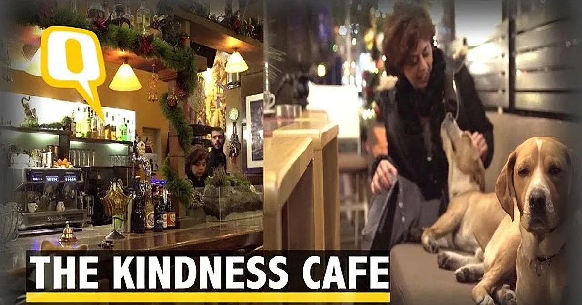 A woman pets a dog in a cozy, festive café setting with holiday decorations.