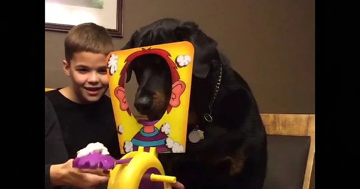 A boy smiles while holding a purple toy, with a black dog partially obscuring a colorful poster behind him.