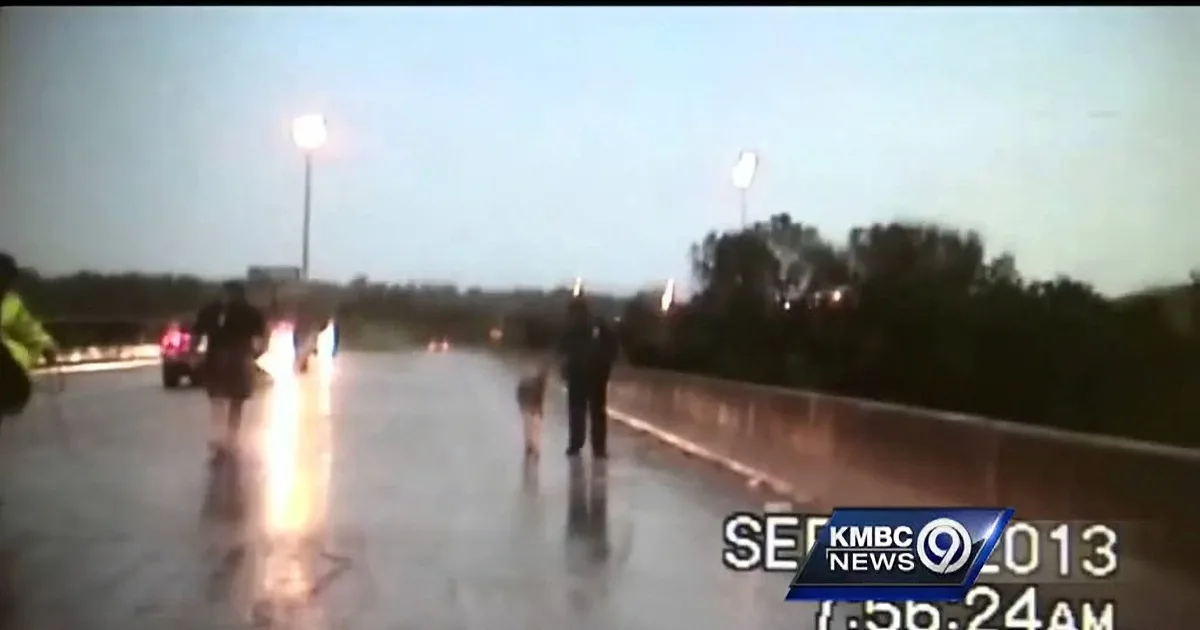 A person walks on a wet road at night, with streetlights and trees in the background.