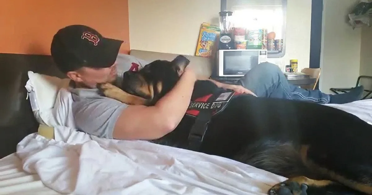 A person wearing a "Service Dog" vest is lying on a bed with a dog, both appearing relaxed.