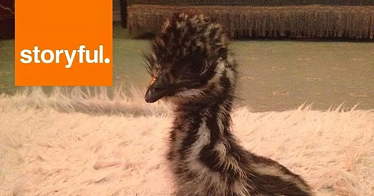A fluffy, dark-colored bird with a long neck and a small beak is the main subject.