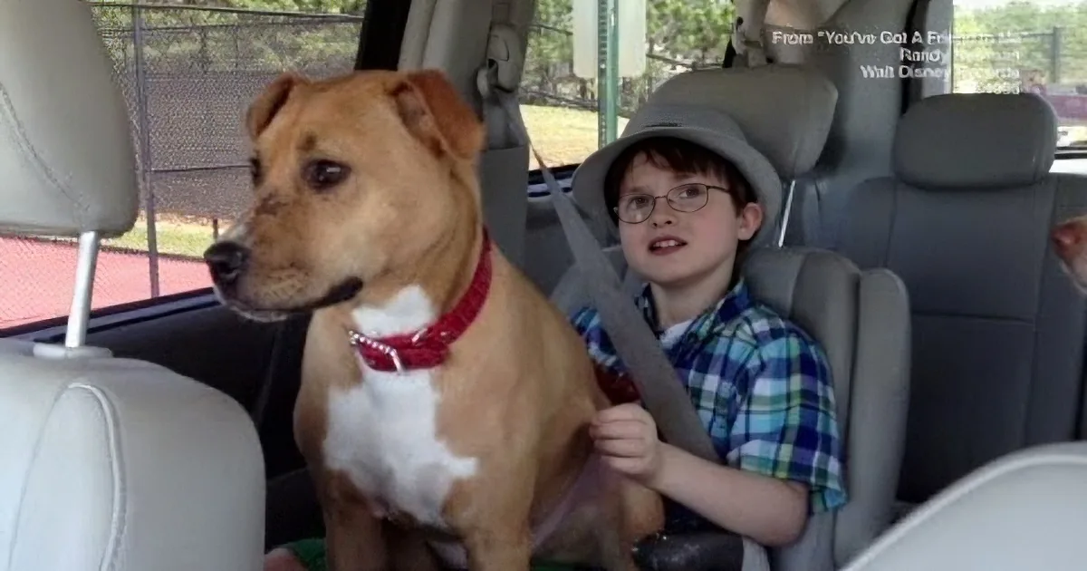 Sweet Autistic Boy Barely Spoke for Years. That All Changed When He Met His Best Buddy Xena
