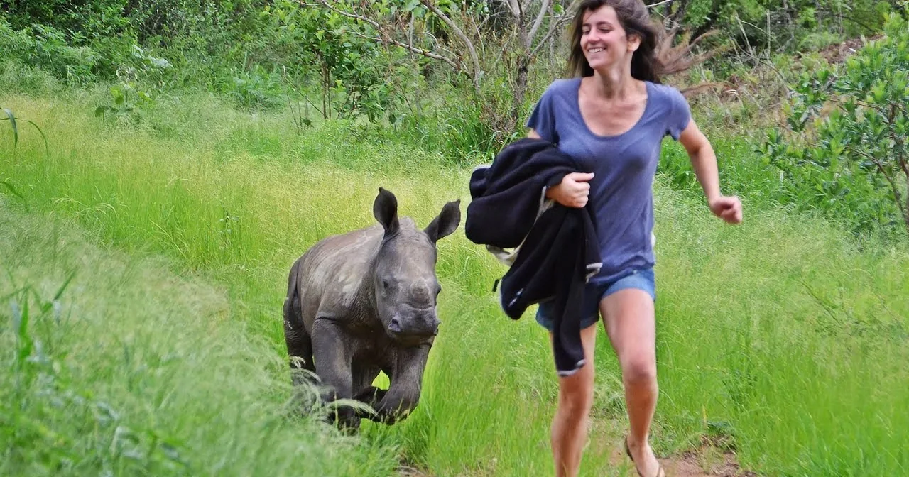 A woman runs through a grassy field with a black rhinoceros following closely behind.