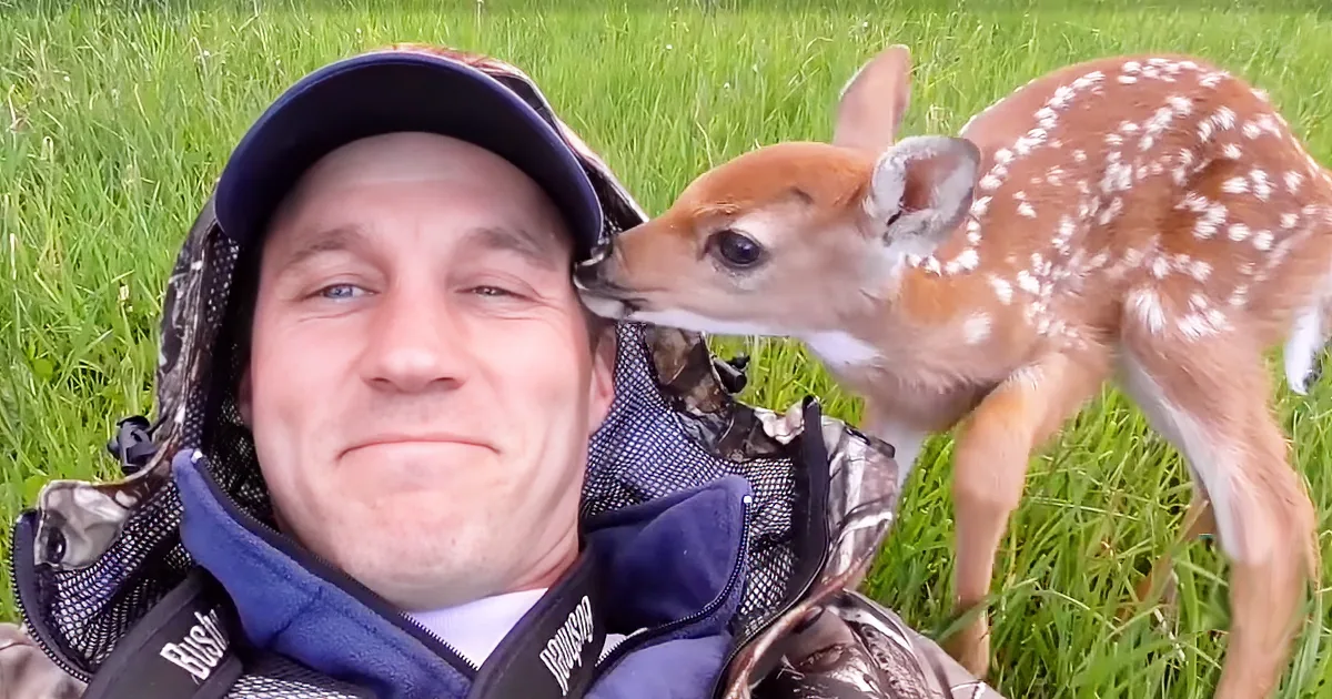 Desperate Baby Deer Abandoned by Mom and Sister, but What This Man Does for Her Saves Her Life!