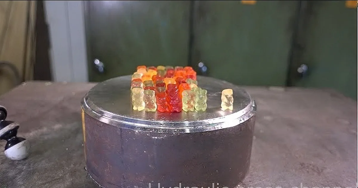 Gummy Bear Destruction Alert, This Is Not for a Faint Hearted Gummy Bear Fan!! Be Warned!