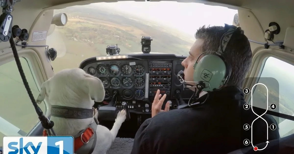 A pilot and a goat are inside a small airplane, with the pilot wearing a headset and the goat sitting on the pilot's lap.