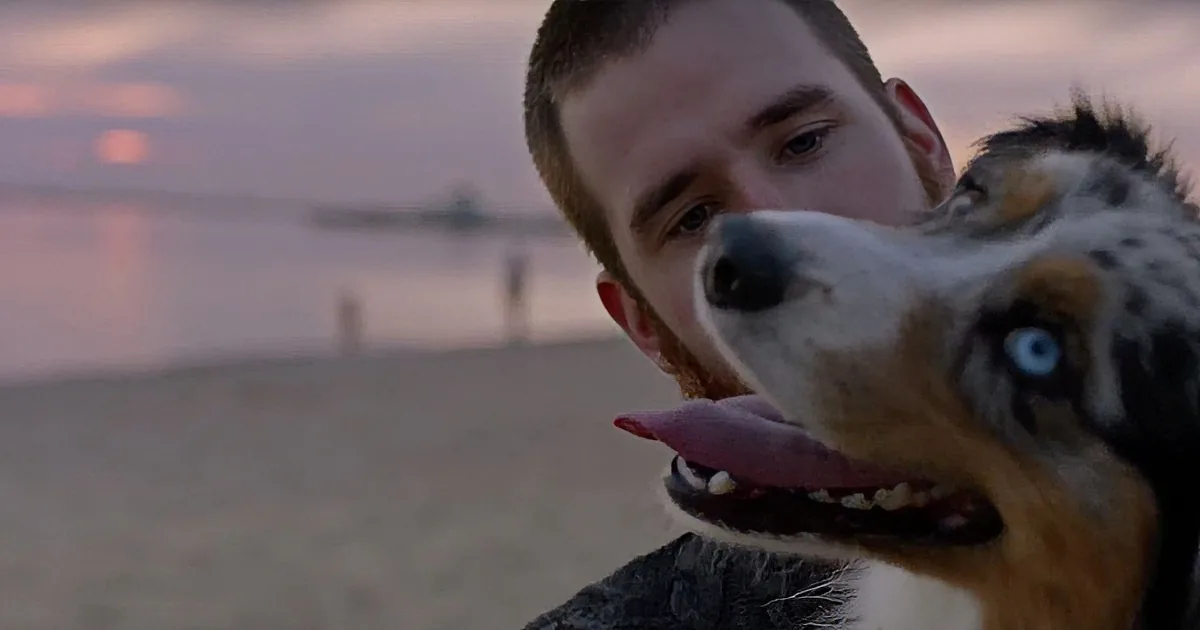 A man holds a dog with a beach and sunset in the background.