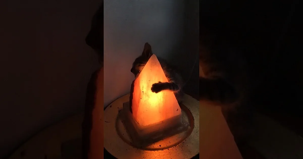 A cat is nestled inside a glowing, triangular-shaped light, creating a cozy and warm scene.