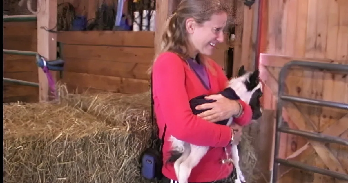 Adorable Day Old Miniature Horse Goes Outside for the Very First Time!