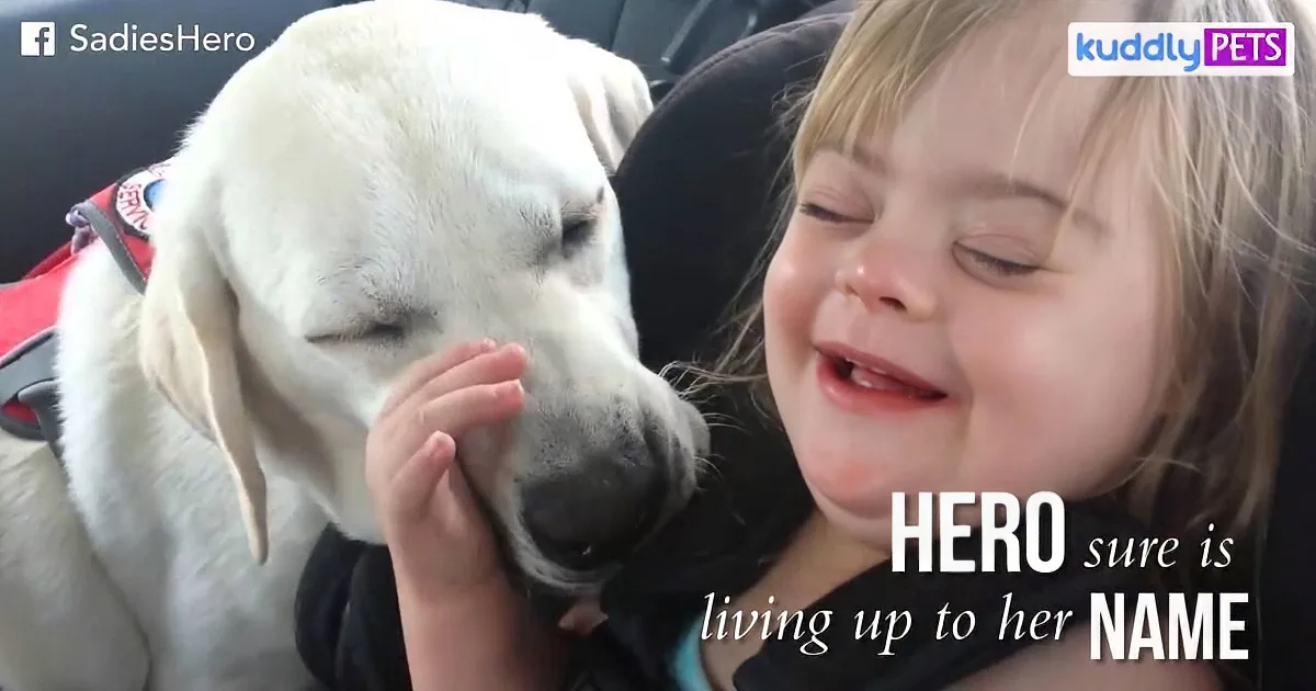Dog Rushed Into Room in a Wild Panic. Moments Later, Mum Realized It Was a Serious Warning