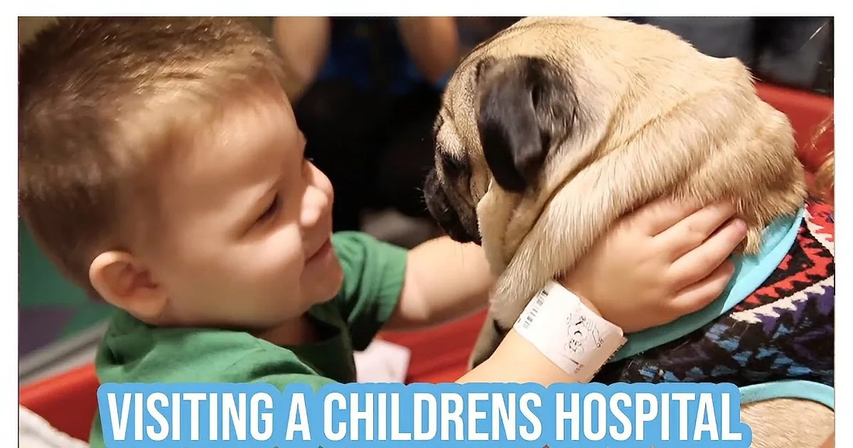A boy in a green shirt holds a pug puppy, both smiling and enjoying the moment.