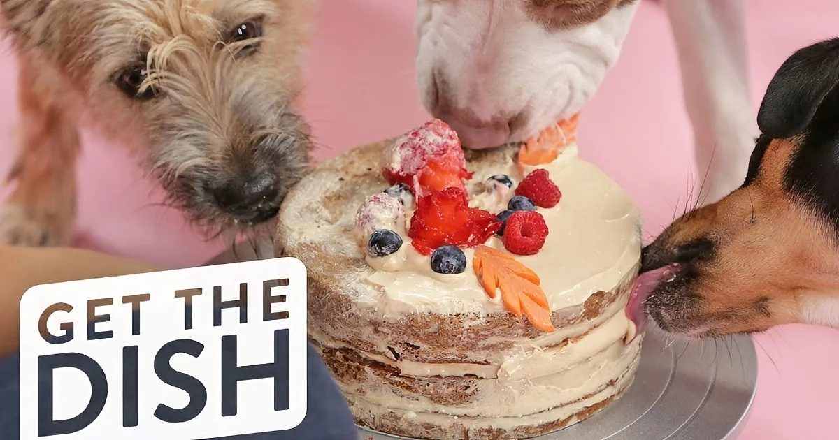 Three dogs eagerly lick a cake adorned with berries and cream, with "GET THE DISH" text overlay.