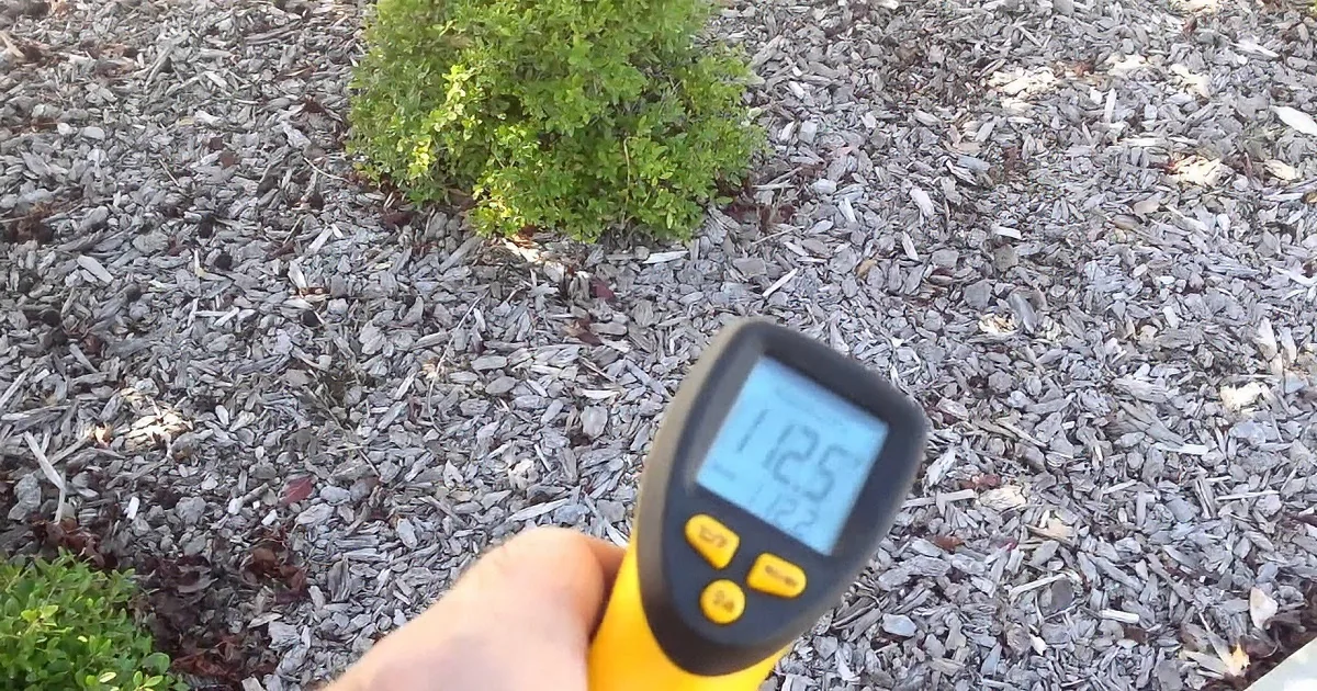 A hand holds a yellow and black digital thermometer against a backdrop of mulch and greenery.