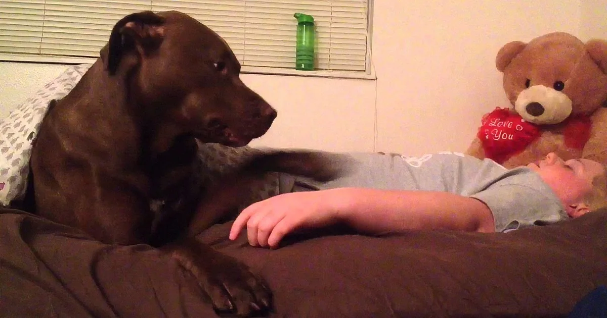 Guess Who Responds to a Pass out Spell?