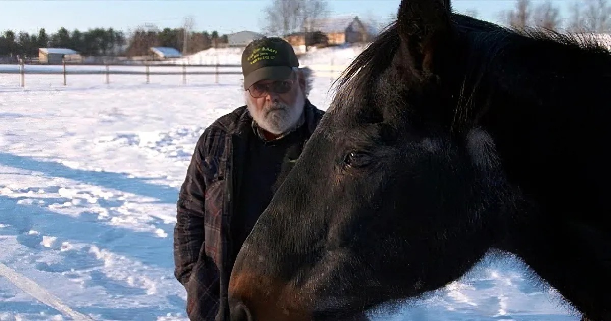 A man stands behind a large black horse in a snowy field, both facing the camera.