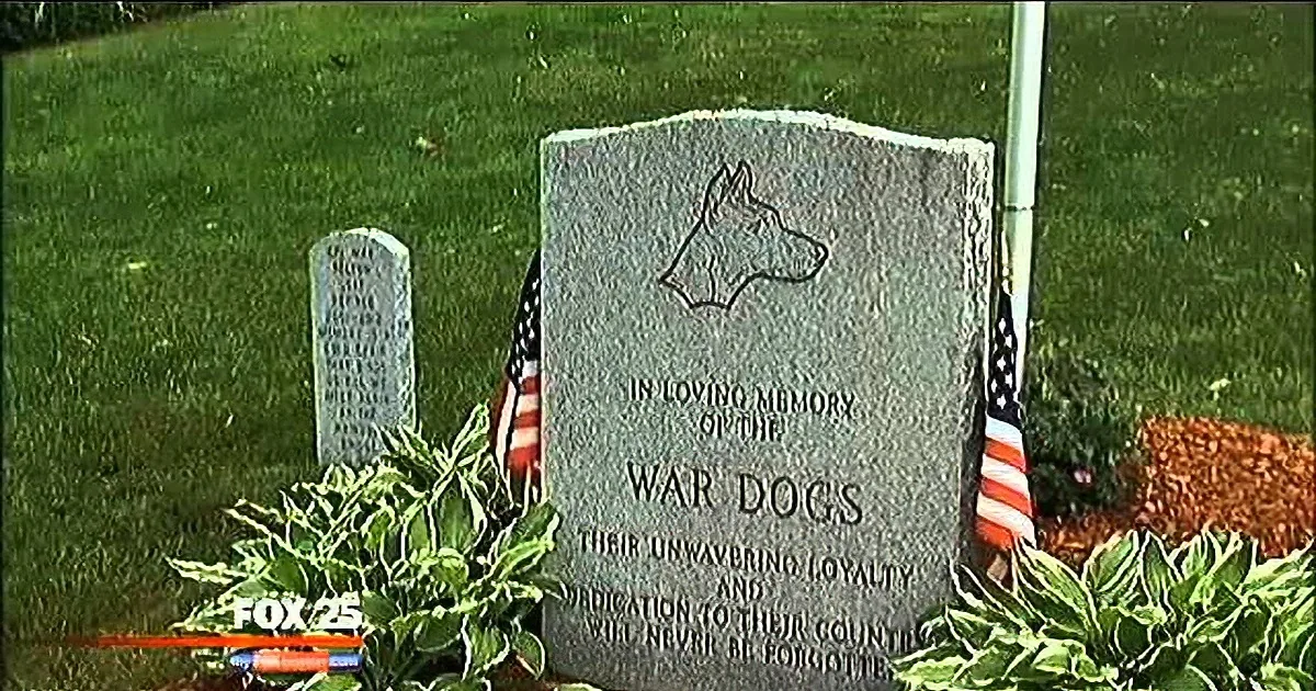 Women Buries Former War Dog, but How She Buries Him Leaves Everyone Stunned!