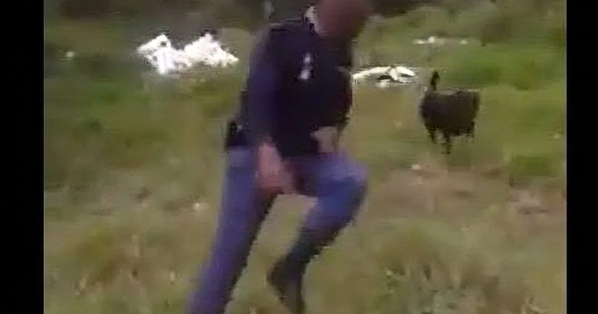 A man in a dark shirt and jeans is kneeling in a grassy field, holding a small black dog.