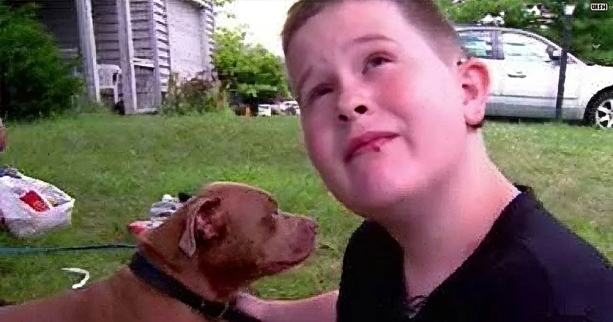 Dog Frantically Licks Deaf Boy Awake. the Reason Why He Did It Gave Me Chills.
