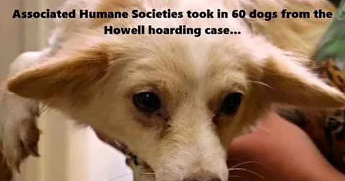 Police Department Gets Call About Loose Dog. What They Found Next Horrified Me.