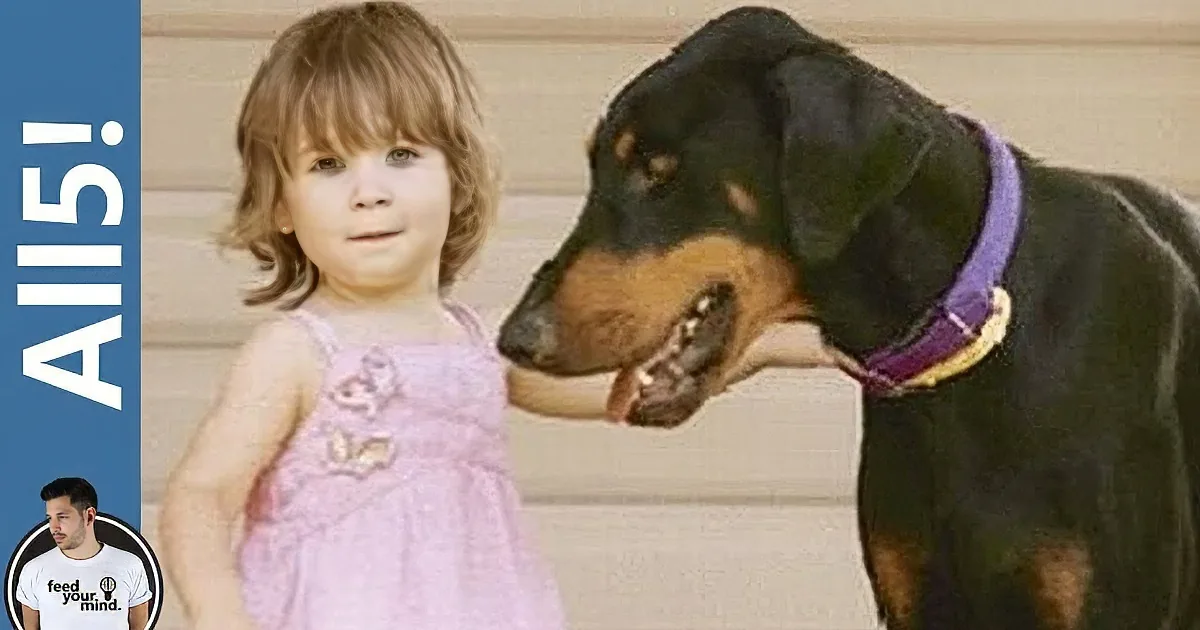 A young girl in a pink dress stands next to a large black and brown dog with a purple collar.