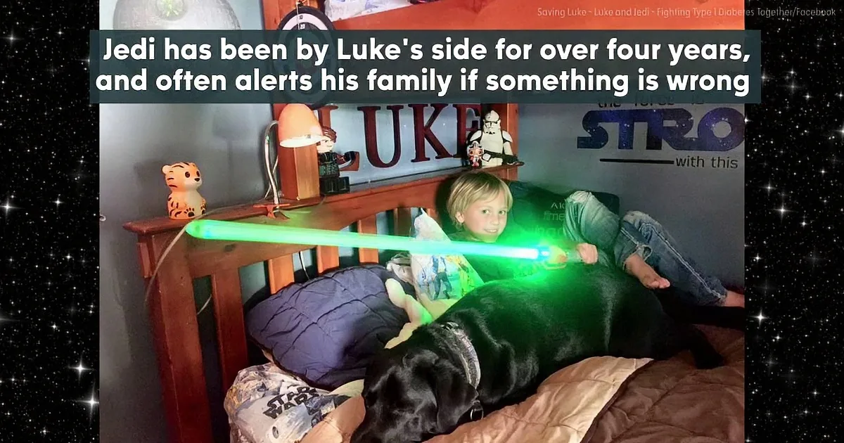 A boy and his black dog, Jedi, share a cozy moment on a bed with Star Wars-themed decor.