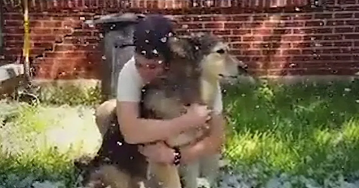 Mommy and Dog Sit out in Yard in Fake Snow. the Reason Why Made Me Laugh... and Cry.